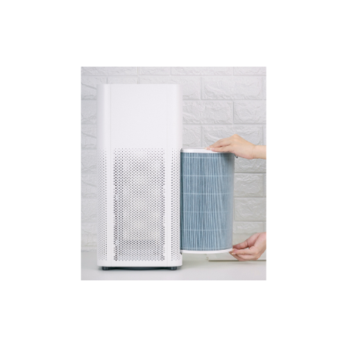 Check or Replace Air Purifier Filter
