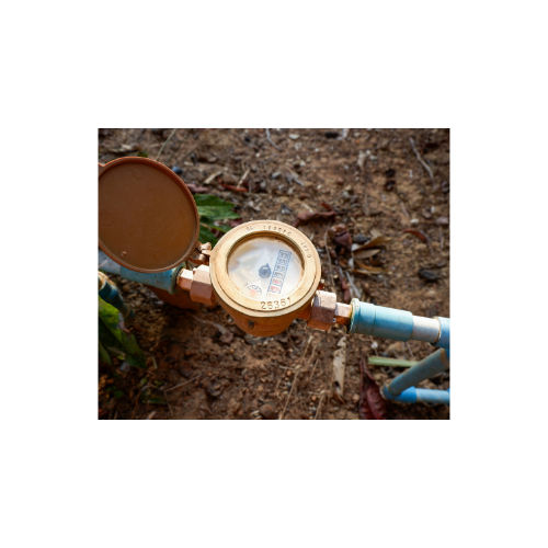 Exercise Main Water Shutoff Valve