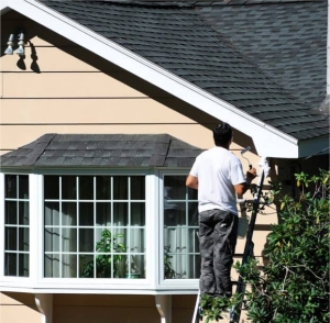 Touch up and Repair Exterior (Siding)