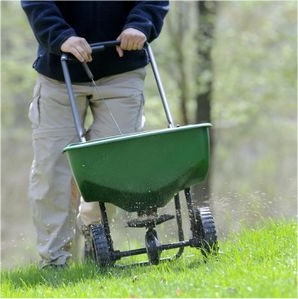 Fertilize your Lawn