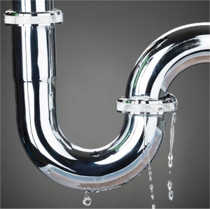 Check for Plumbing Leaks
