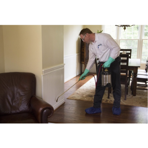 Check for Outdoor Insect Problems