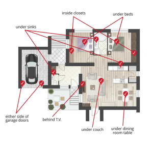 Check for Indoor Insect Problems
