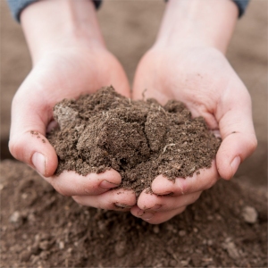 Get Yard Soil Test