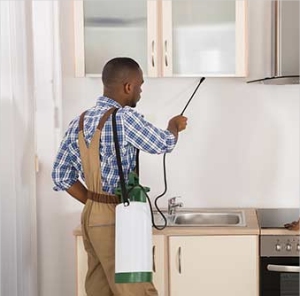 Spray Indoors for Pest Control