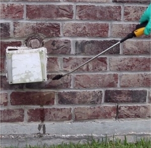 Spray Outdoors for Pest Control