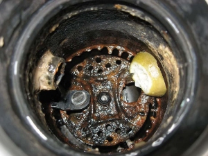 Clean Garbage Disposals